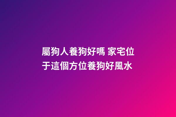 屬狗人養狗好嗎 家宅位于這個方位養狗好風水